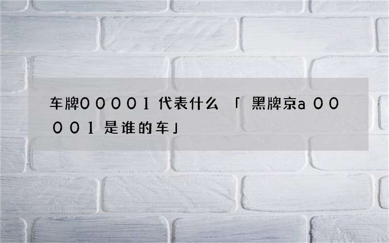 车牌00001代表什么黑牌京a00001是谁的车